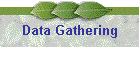 Data Gathering